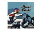 STUNT COCK BREAKS 7 INCH FOR YOUR PT01 SCRATCH OR YOUR RELOOP SPIN PORTABLE 