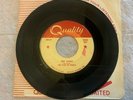 WES DAKUS (THE CLUB 93 REBELS)    RARE Canadian 45 rpm        PINK CANARY