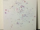 NUJABES  REFLECTION ETERNAL / Imaginary Folklore  LP VINYL record