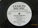 You Am I, Welcome Mat, Coal Porters, Poppin' Mommas - 1992 Lemon promo EP 33rpm