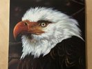 MOGWAI - THE HAWK IS HOWLING (2 LP) ORIGINAL 1st PRESS VINYL RECORD