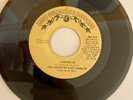 Northern Soul/Mecca  - Voices Of East Harlem - Cashing In - US Import