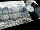 Alabama Country Blues 1924-1933 **Roots RL-325 Limited Edition Mono LP**