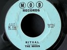 The MODS - Ritual original rare New Jersey garage punk rock '66 Mod 45 VG