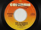 70s Soul 45 - Dynamics - You Can Make It If You Try - Columbia - mp3