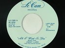 Deep Soul 45 - Jimmy Luke (Pic & Bill) - All I Want Is You - Le Cam - NM mp3