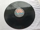 ACID REIGN  THE FEAR  Original Press Vinyl LP MINT-