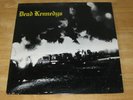 Dead Kennedys - Fresh Fruit for Rotting Vegetables vinyl LP with poster 1982
