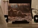 R.E.M. Murmur Vinyl Album LP *Mint* original inner sleeve