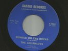 SURF GARAGE INSTROS - AQUANAUTS - RUMBLE ON THE DOCKS  - HEAR -1963 SAFARI