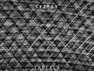 TARFALA TRIO - Barry Guy / Mats Gustafsson -SYZYGY- 2xLP+7