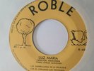 LAS GUERRILLERAS DE LA FRONTERA - LUZ MARIA - SENTENCIA DE MUERTE - NEW ROBLE