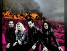 The Dead Weather-Dodge And Burn Vinyl LP. 2015. Third Man Records. USA.