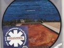 Red Hot Chili Peppers Californication UK picture disc LP vinyl album record