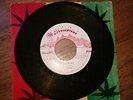 Melodious - Bunny Flipper - Reggae Vibes  7'-Killa