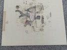 frightened rabbit - The Midnight Organ Fight Vinyl