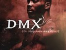 DMX ORIGINAL It's Dark and Hell Is Hot 2x LP Vinyl Rare Def Jam