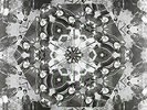 Atomic Forest-