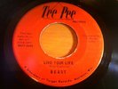 Psych Rock - Beast - Live Your Life - Tee Pee 45 rpm RARE