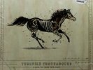 Turnpike Troubadours ‎– A Long Way From Your Heart 2 x VINYL RECORDS C LIKE