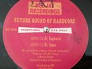 Future Sound of Hardcore - Volume 1 - Deejay Recordings LTJ Bukem *Listen*