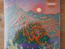 Metronomy Forever Because Music BEC5650091 Orange Green Vinyl Signed Ltd Print