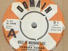 TAMARA KORAN + PERCEPTION*VEILS OF MORNING LACE*MOD*DANCER*DOMAIN LABEL*HEAR