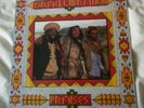 Israel Vibration - Praises - Vinyl LP Record