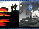 STEELY DAN GREATEST HITS - DONALD FAGAN THE NIGHTFLY - VINTAGE VINYL LP ALBUMS