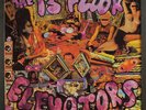 THIRTEENTH FLOOR ELEVATORS: the original sound of thirteenth floor elevators 12