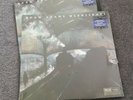 Ryan Adams Wednesdays Black and Blue Marbled AUS exclusive VINYL LP + 7