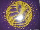 Jay Dee - Plastic Dreams - Sony Entertainment - 1992 - LP 33 RPM - 12