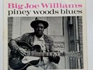 Big Joe Williams - Piney Woods Blues - 1963 Blues LP - UK 77 Records 77-LA-12-19