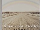 VINCENT GALLO: When UK Warp 2001 Folk Abstract Orig LP Vinyl
