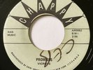 U-ROY VICEROYS Sound Of The Wise / Promises CHAPPY Rare Roots Reggae MP3