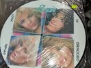 Poison Look What The Cat Dragged In Vinyl Picture Disc. 1987
