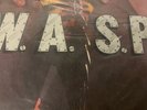 w.a.s.p. animalf**k Like A Beast