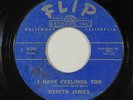 Northern Soul 45 DENITA JAMES I Have Feelings Too/Wild Side on Flip