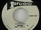 Bob Andy/Wailers 