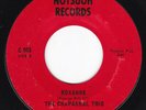 Searing TX Psychedelic Fuzz CHAPARRAL TRIO Roxanne 45 Notsuoh HEAR