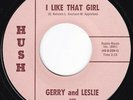 Bay Area Sunshine Garage Jangle GERRY AND LESLIE I Like That Girl 45 Hush HEAR