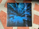 HUM Downward is Heavenward 2x LP 2019 Re-Issue Blue Vinyl Earth Analog Sealed