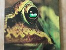 Toad - Toad 1971 Reissue Vinyl LP Rare Akarama AK 081 NM/EX+++