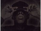 Jay-Z - The Black Album '03 2xLP US ORG  Kanye West Eminem DJ Quik
