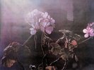 Spinetta Luis Alberto ‎– A 18' Del Sol (2015) New Vinyl from Argentina Sealed