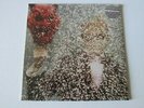 TY SEGALL S/T LP Castle Face w/HYPE STICKER GARAGE LO-FI PUNK RARE SEALED