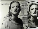 Taylor Swift - Reputation Picture Discs 2xLP - Big Machine NM