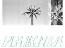 Paradise Cinema : Paradise Cinema VINYL 12