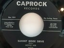 45 RPM ROCKABILLY HOYLE NIX, BIG BALLS IN COWTOWN / SUMMIT RIDGE DRIVE
