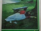 Banco ‎– Capolinea 1980 Italy LP